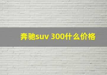 奔驰suv 300什么价格